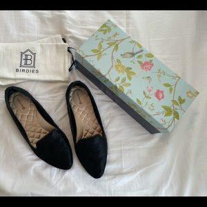 Birdies the blackbird